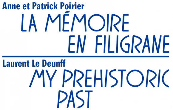 Vernissage expositions d'Anne et Patrick Poirier et de Laurent Le Deunff