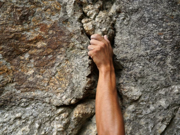 Visite découverte des expositions temporaires