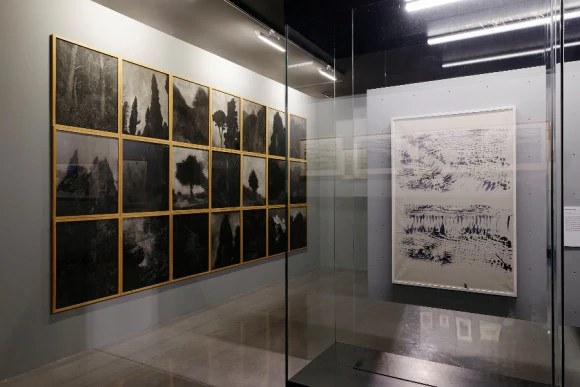 Visite découverte de l'exposition "La Pergola"