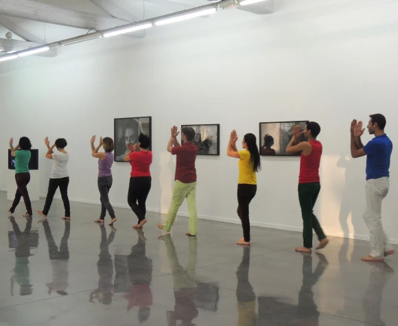  Déambulation "muséodansée" de la Cie Singulier Pluriel / Jos Pujol