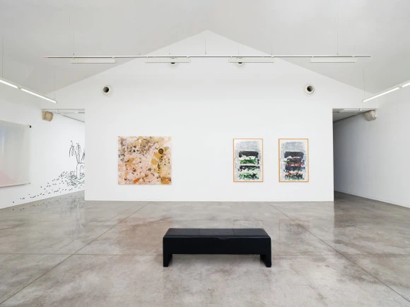 Visite découverte de l'exposition des collections