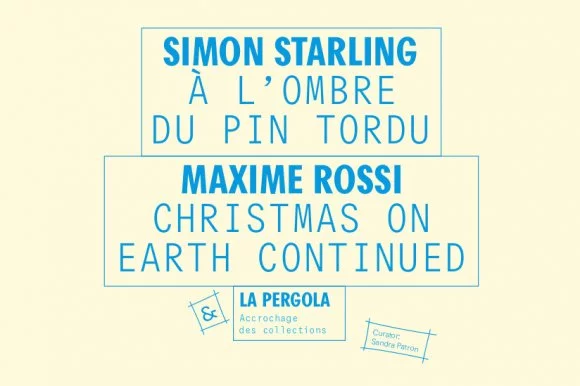 Vernissage des expositions Simon Starling et Maxime Rossi