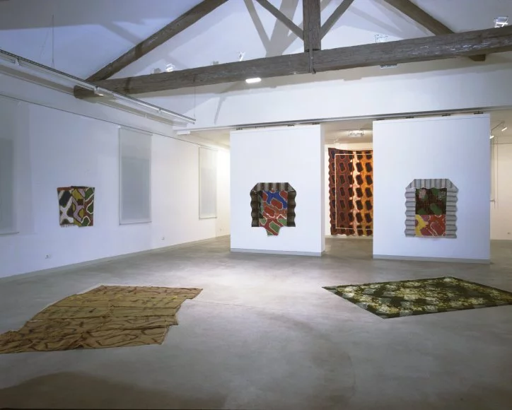2002 Claude Viallat. Vue de l'exposition à l'Espace Fayet, Sérignan. Photo Pierre Schwartz