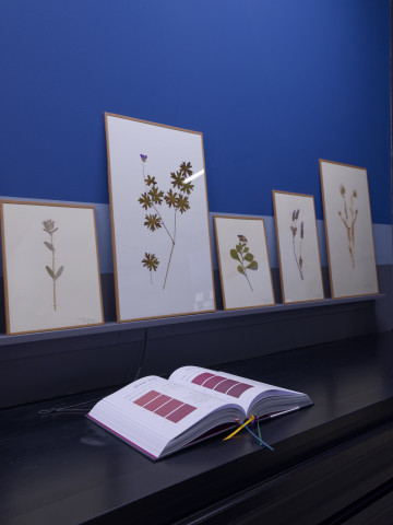 Armelle Caron, vue de l'exposition « Le ressac des cahiers jaunes », Mrac Occitanie, Sérignan, 2025. Photo : Aurélien Mole