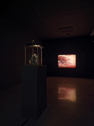 Philippe Decrauzat, vue d'exposition, "Intercisio". Mrac Occitanie, Sérignan, 2026. Photo : Aurélien Mole.