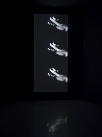 Philippe Decrauzat, vue d'exposition, "Intercisio". Mrac Occitanie, Sérignan, 2026. Photo : Aurélien Mole.