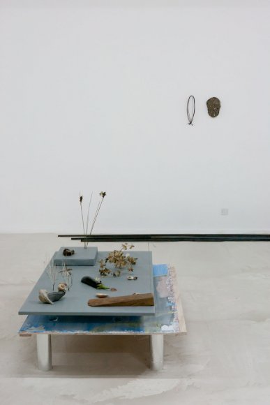 "Une appropriation de la nature", 2012. Technique mixte, dimension variable. Courtesy Galerie Jocelyn Wolff. Photographie : J-P.Planchon