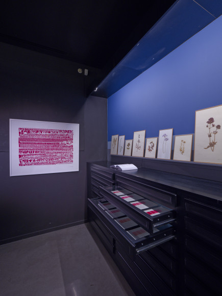 Armelle Caron, vue de l'exposition « Le ressac des cahiers jaunes », Mrac Occitanie, Sérignan, 2025. Photo : Aurélien Mole