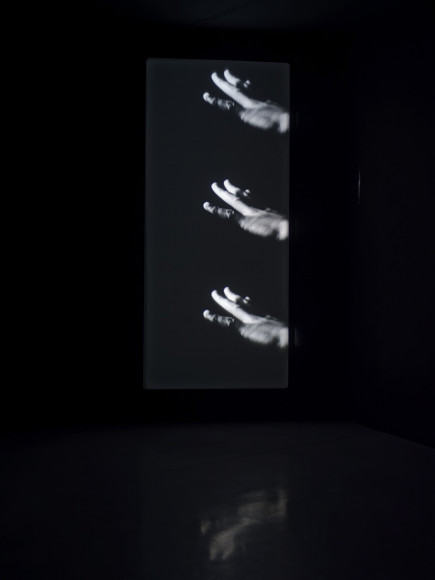 Philippe Decrauzat, vue d'exposition, "Intercisio". Mrac Occitanie, Sérignan, 2026. Photo : Aurélien Mole.