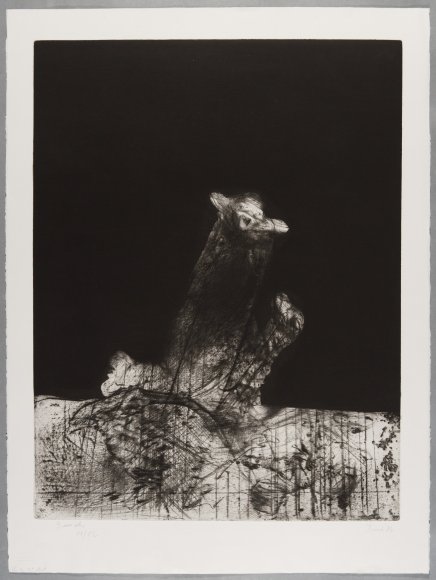 Dado, "Sans titre", 1982. Pointe-sèche sur papier, 76 x 57 cm. Photo Jean-Paul Planchon. Collection Mrac Occitanie