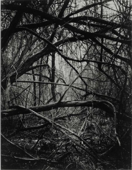 Gérard Traquandi, ''Les Mesnuls 2'', 2003. Résinotype noir et blanc contrecollé sur aluminium, 237×193×5 cm. Dépôt long du Centre national des arts plastiques, Paris. Inv. FNAC 2012-084