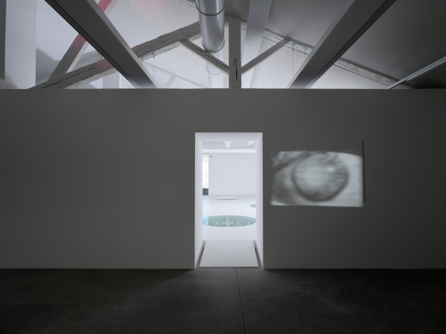 Philippe Decrauzat, vue d'exposition, "Intercisio". Mrac Occitanie, Sérignan, 2026. Photo : Aurélien Mole.