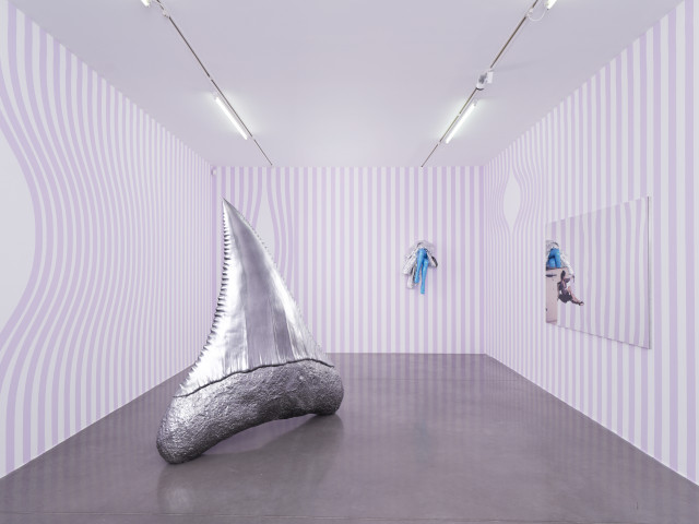 Sylvie Fleury, vue de l'exposition « Thunderb », Mrac Occitanie, Sérignan, 2025. Photo : Aurélien Mole