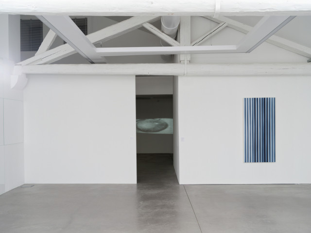 Philippe Decrauzat, vue d'exposition, "Intercisio". Mrac Occitanie, Sérignan, 2026. Photo : Aurélien Mole.