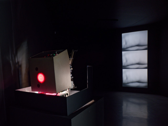 Philippe Decrauzat, vue d'exposition, "Intercisio". Mrac Occitanie, Sérignan, 2026. Photo : Aurélien Mole.