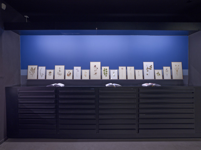 Armelle Caron, vue de l'exposition « Le ressac des cahiers jaunes », Mrac Occitanie, Sérignan, 2025. Photo : Aurélien Mole