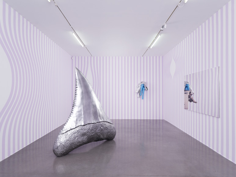 Sylvie Fleury, vue de l'exposition « Thunderb », Mrac Occitanie, Sérignan, 2025. Photo : Aurélien Mole