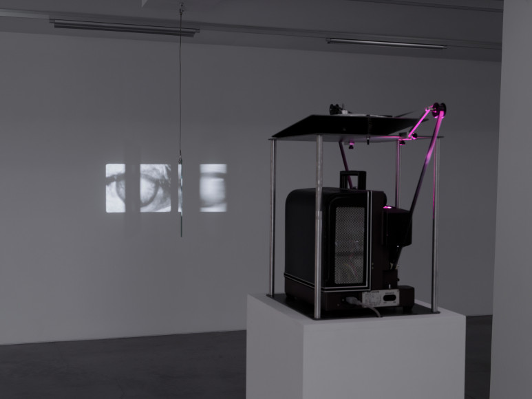 Philippe Decrauzat, vue d'exposition, "Intercisio". Mrac Occitanie, Sérignan, 2026. Photo : Aurélien Mole.