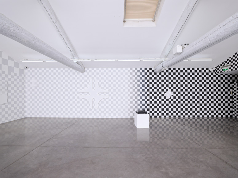 Philippe Decrauzat, vue d'exposition, "Intercisio". Mrac Occitanie, Sérignan, 2026. Photo : Aurélien Mole.