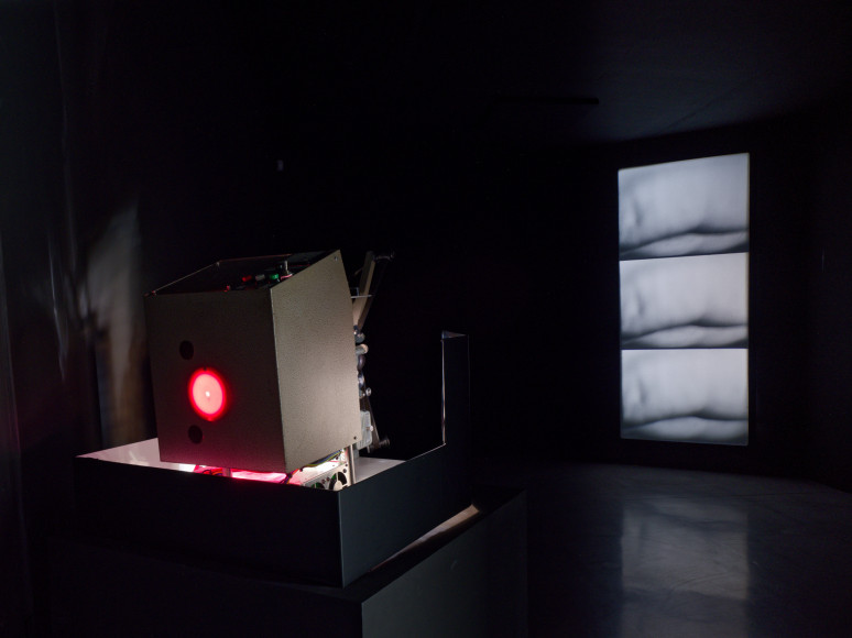 Philippe Decrauzat, vue d'exposition, "Intercisio". Mrac Occitanie, Sérignan, 2026. Photo : Aurélien Mole.