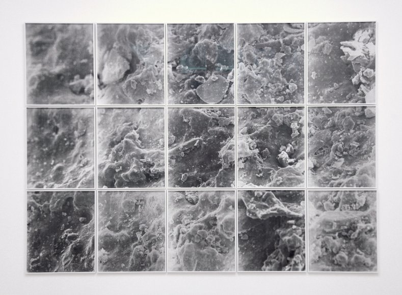 Caroline Corbasson, "Field", 2017. Poussière du désert d'Atacama observée au microscope électronique (MNHN). Tirages au charbon direct sur papier, 182x290 cm. Galerie MONTEVERITA