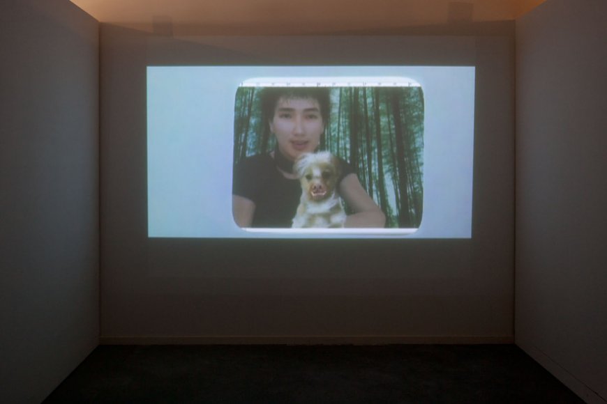 Yunsheng He, "Utopia", vidéo, 21mn, 2011