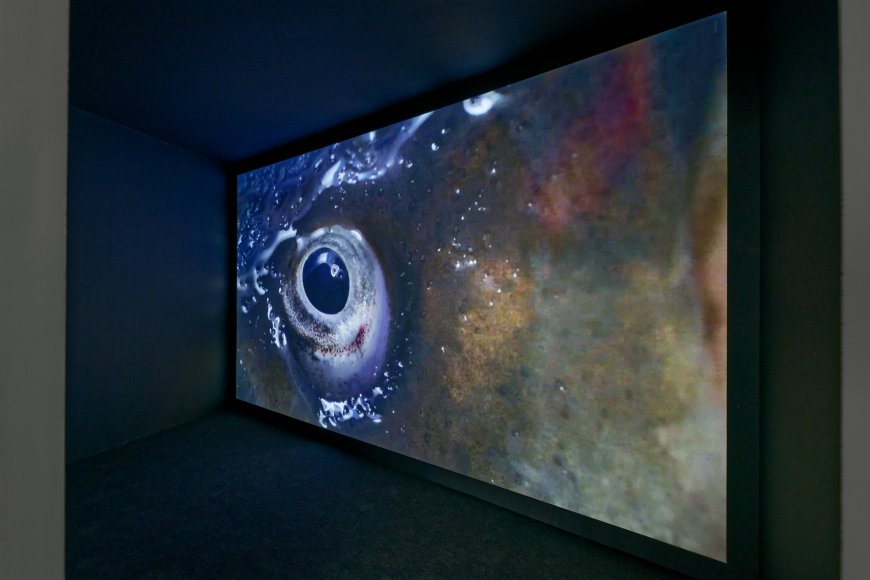 Maya Watanabe, "Stasis", 2018. Installation vidéo. Courtesy de l'artiste, Tegenboschvanbreden Gallery et 80 m2 Livia Benavides Gallery. Photographie Aurélien Mole