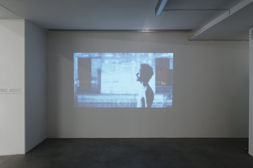 Vue de l'exposition "Distance ardente", 2020. Photo Aurélien Mole.