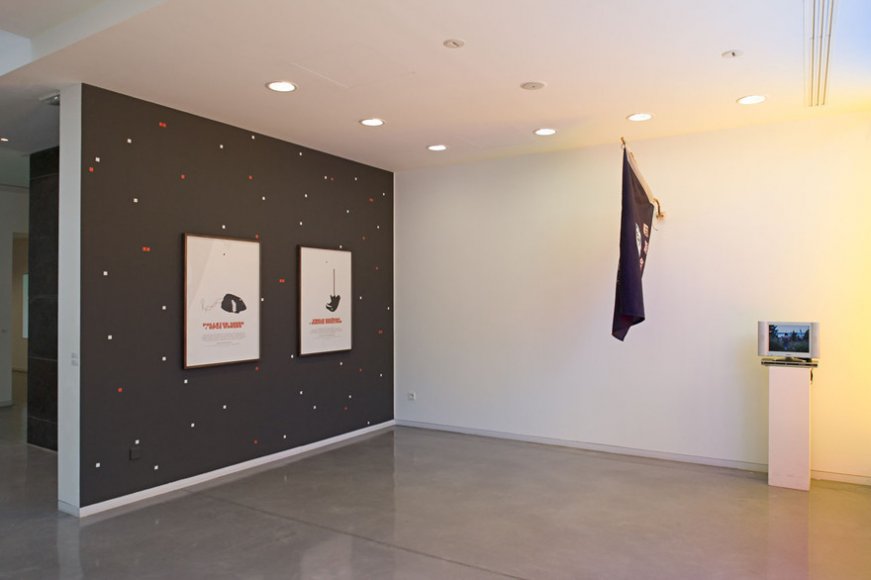 "Uncertain states of America", Vue de l'exposition au Mrac, 2007. Photographie Jean-Paul Planchon